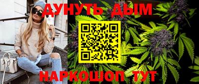 дмт Обь