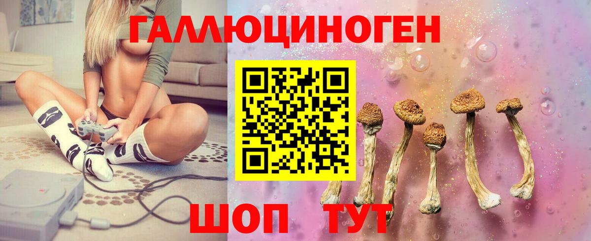 Псилоцибиновые грибы Cubensis Тихорецк